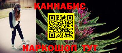 шишки Тара
